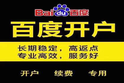 某零售企业网络推广竞价的成功策略分享